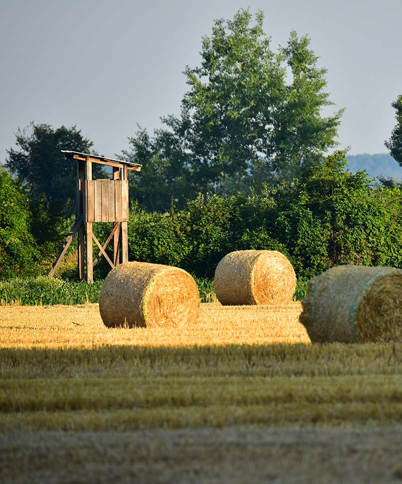 Jagdschuhe für die Erntejagd